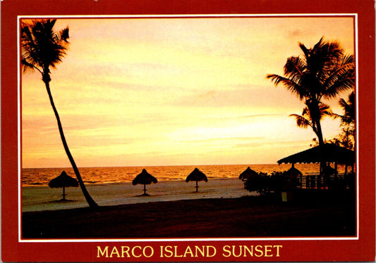 Vintage Postcard The Marco Island Sunset Florida United States Unposted