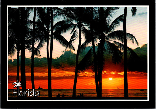 Vintage Postcard The Fabulous Florida Sunset United States Unposted