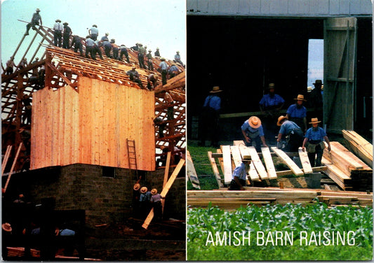 Vintage Postcard Barn Raising Amish Counrty Pennsylvania United States Unposted