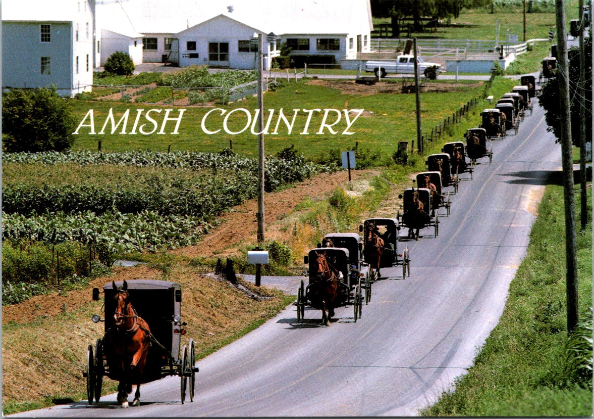 Vintage Postcard An Amish Counrty Funeral Pennsylvania United States Unposted