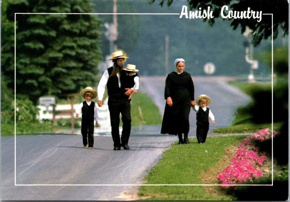 Vintage Postcard Greetings From The Amish Country Pennsylvania Unposted