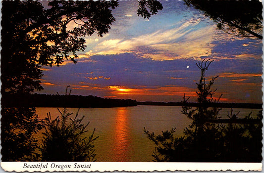 Vintage Postcard The Beautiful Oregon Sunset United State Unposted