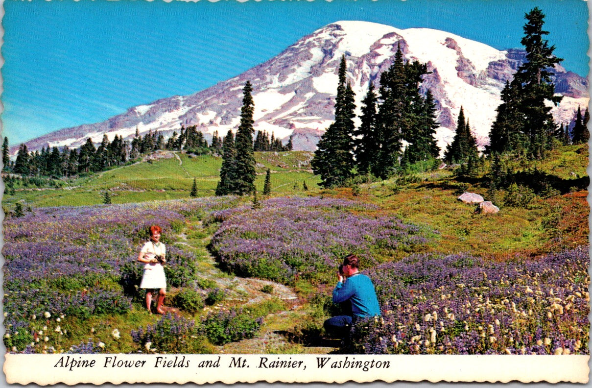 Vintage Postcard The Mount Rainier National Park Washington United States