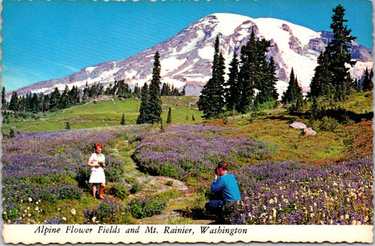 Vintage Postcard The Mount Rainier National Park Washington United States