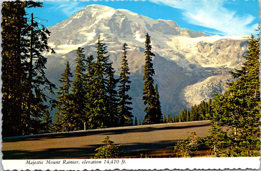 Vintage Postcard The Majestic Mount Rainier Washington United States Unposted