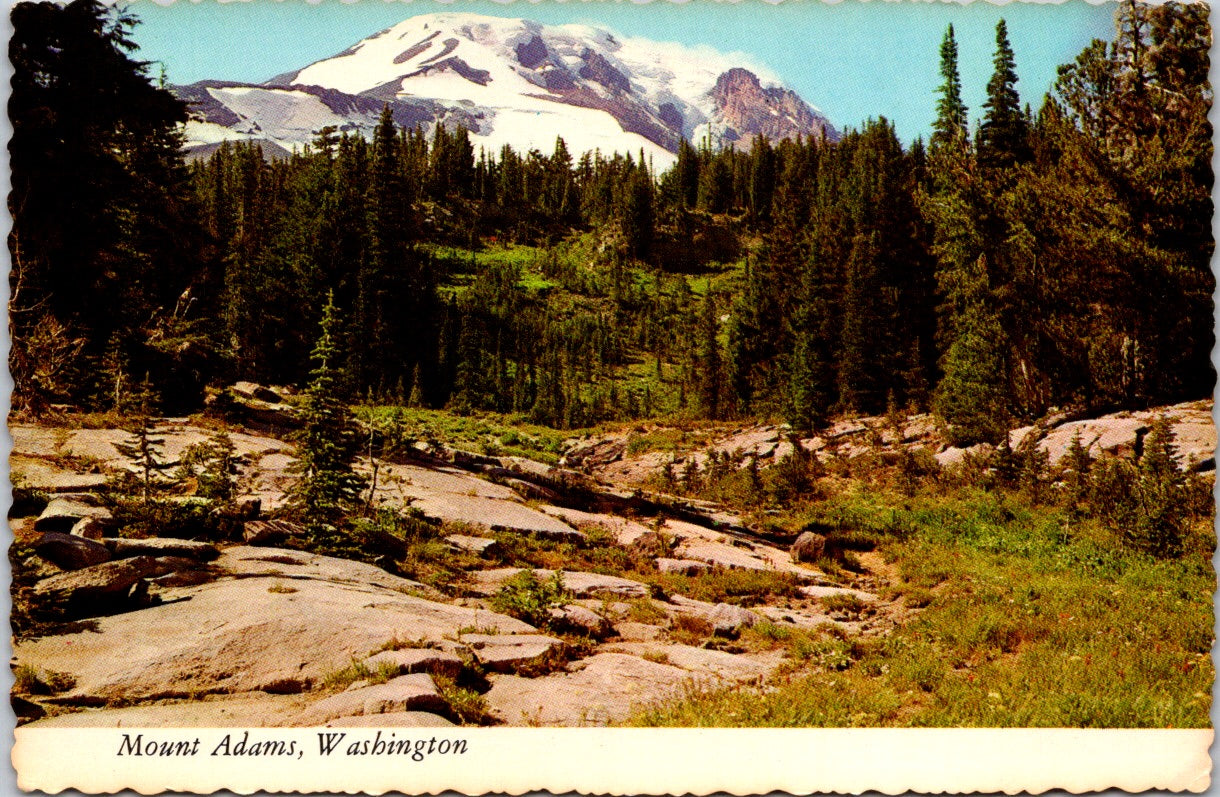 Vintage Postcard The Mount Adams Washington United States Unposted