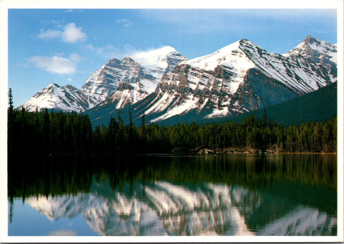 Vintage Postcard The Lake Louise Mountains Reflected In Herbert Lake Canada