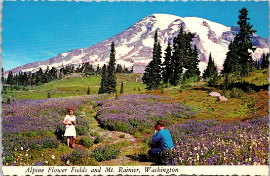 Vintage Postcard Alpine Flower Fields And Mount Rainier Washington Unposted