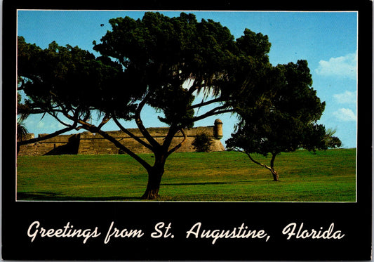 Vintage Postcard The Castillo de San Marcos Saint Augustine Florida Unposted