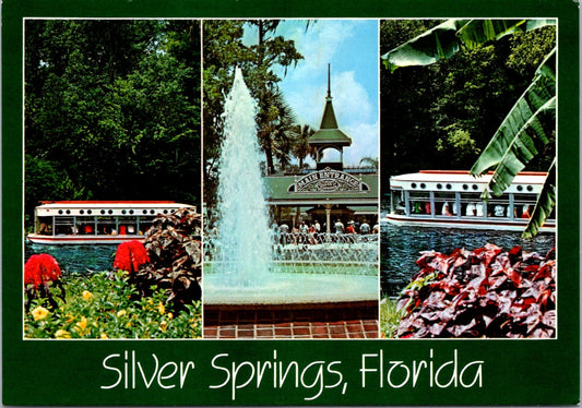 Vintage Postcard Glass Bottom Boats And Fountain Florida Silver Springs Unposted