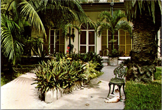 Vintage Postcard Ernest Hemmingway House And Museum Key West Florida Unposted