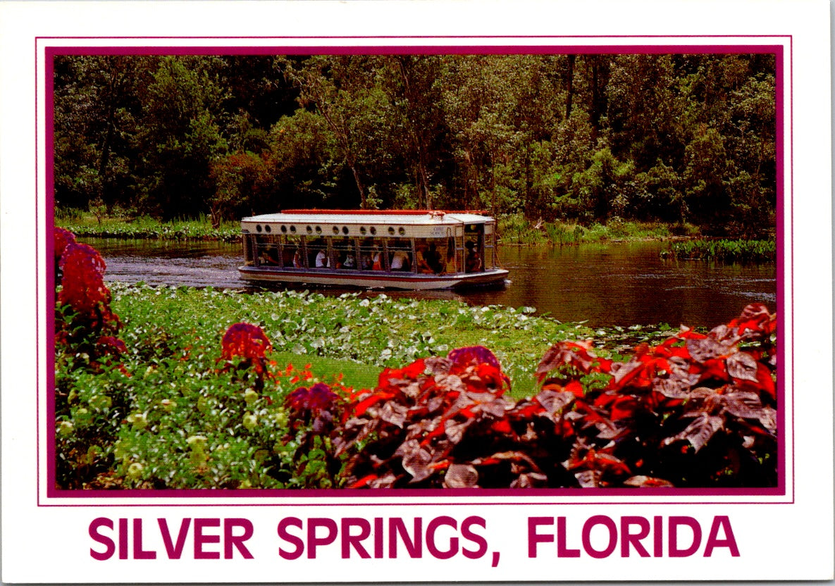 Vintage Postcard Glass Bottom Boats Landscape Park Florida Silver Srprings