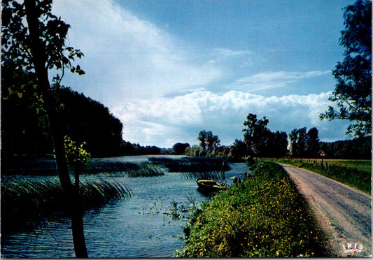 Vintage Postcard The Surroundings Of Auxerre Yonne France Unposted