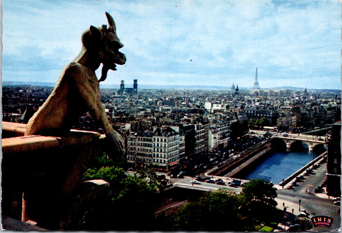 Vintage Postcard The Devil Seen From The Towers Of Our Lady Paris France