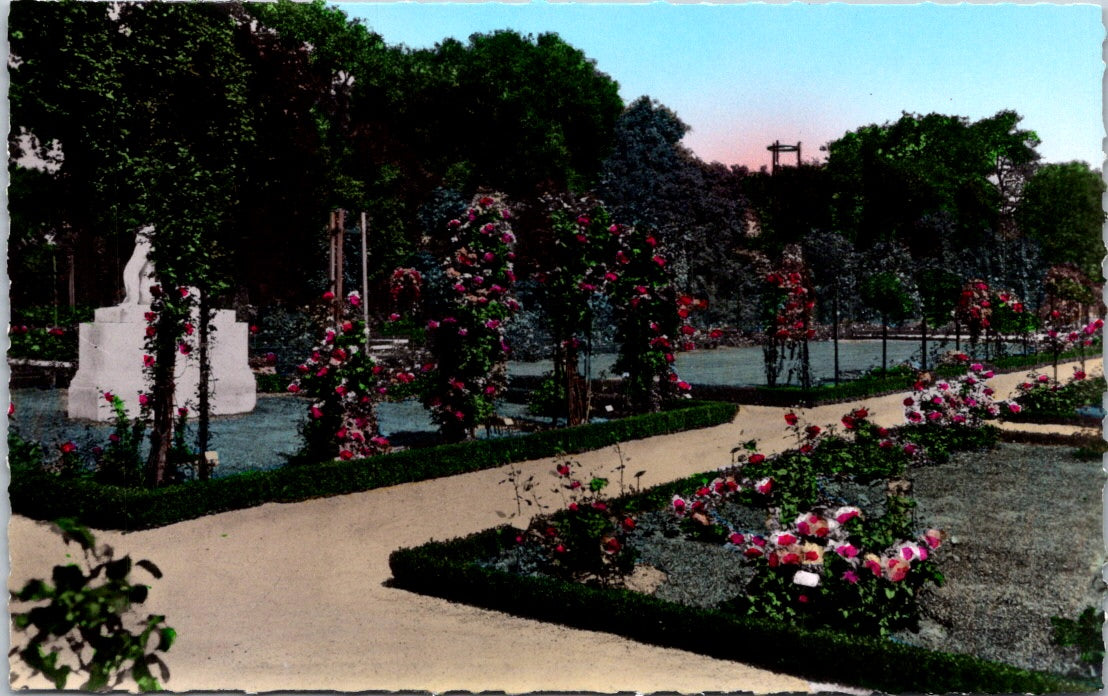 Vintage Postcard The Rose Garsen Paris Bagattelle France Unposted