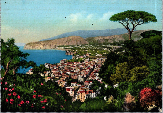 Vintage Postcard General View from Parisi Sorrento Italy Unposted