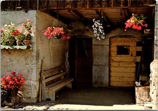 Vintage Postcard Beautiful Hanging Flowering Plants A Good Home Unposted