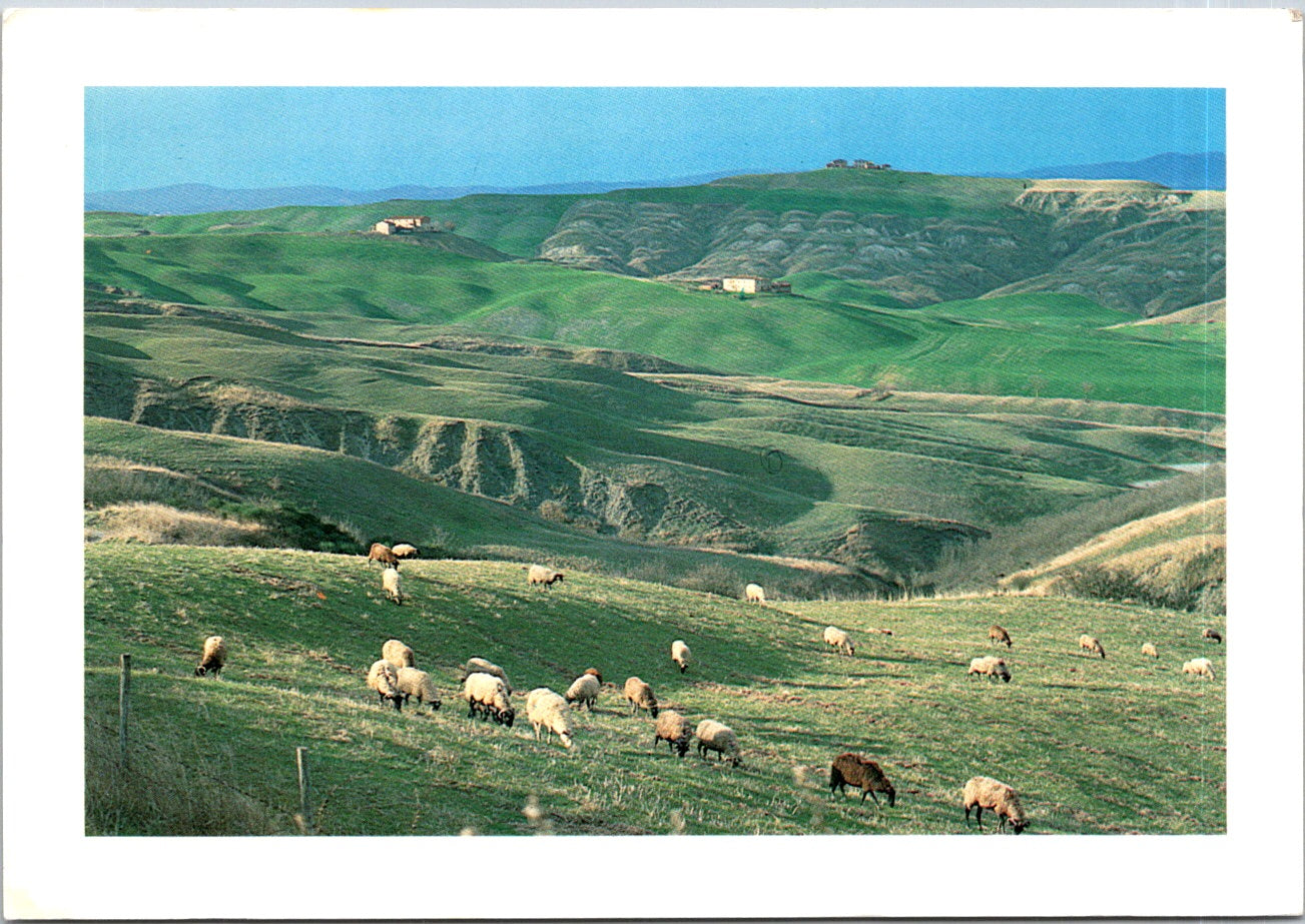 Vintage Postcard The Crete Senesi Tuscany Siena Italy Unposted