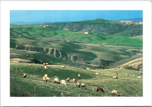 Vintage Postcard The Crete Senesi Tuscany Siena Italy Unposted