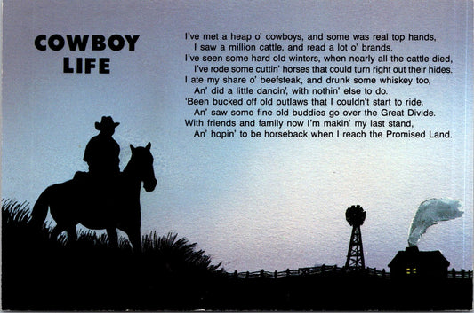 Vintage Postcard Windmill Cowboy Life Texas United States Unposted